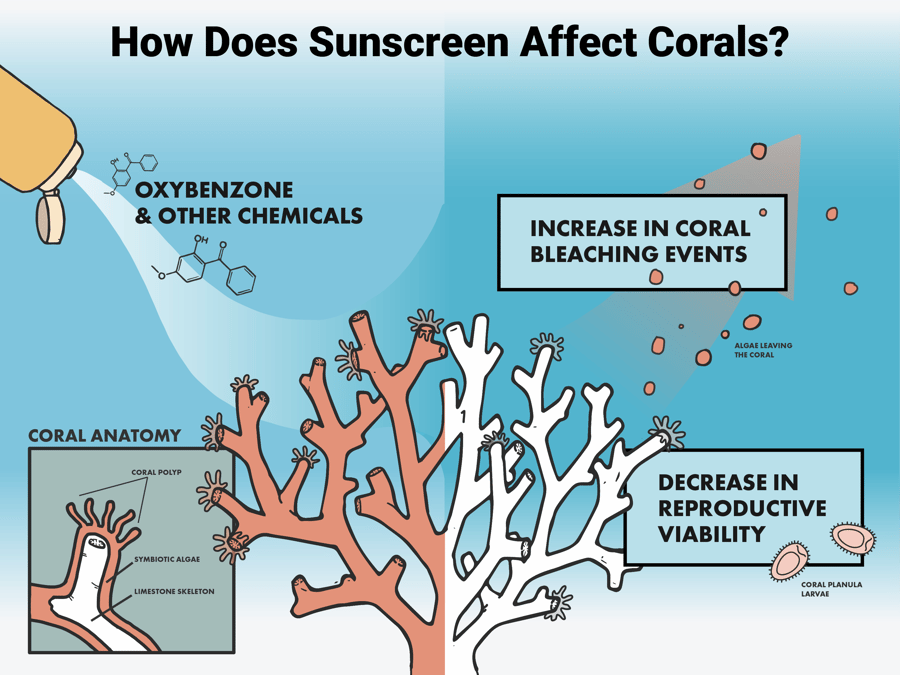 sunscreen4-01