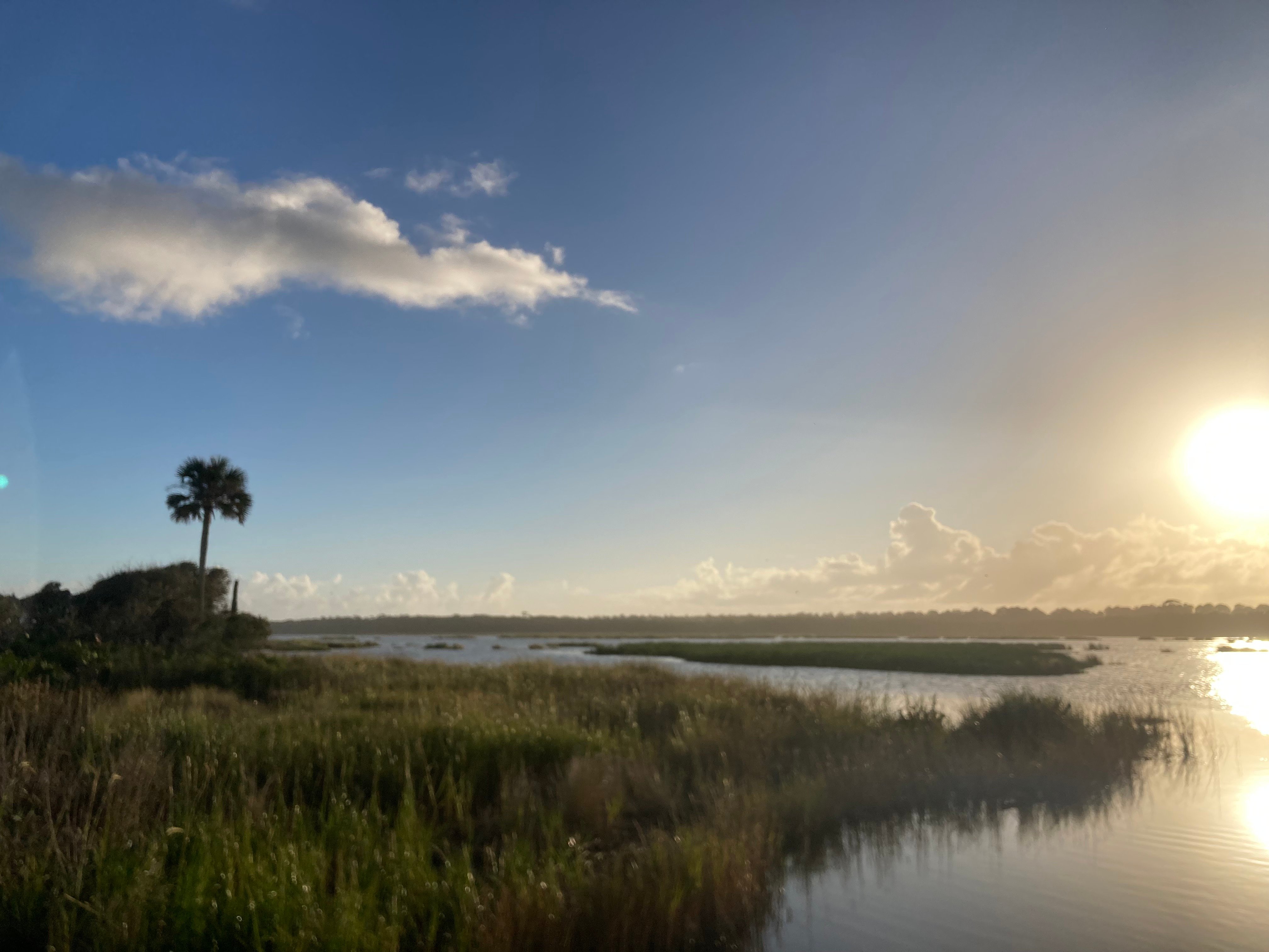 Stop the Guana Land Swap