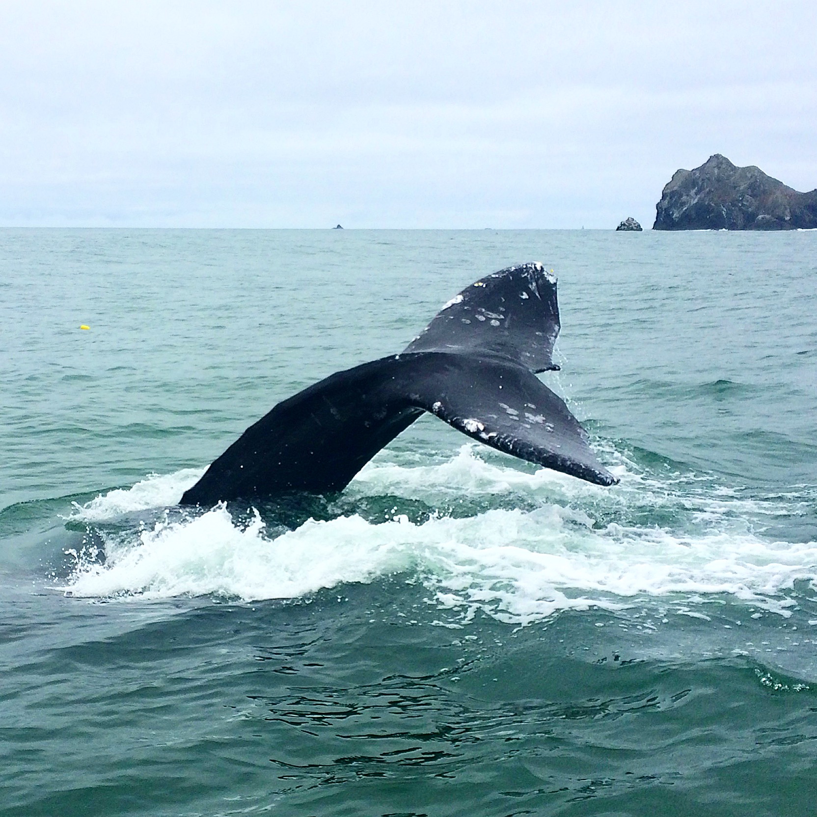 AB 2734 – Expand Coastal Access in California!